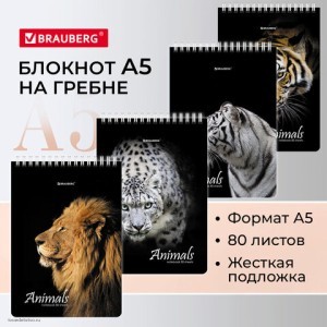 Блокнот в клетку А5 на кольцах Хищники 80 л. BRAUBERG 114385-3