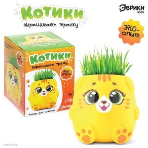Набор для опытов «Котики. Выращиваем травку», жёлтый горшочек, 9415588