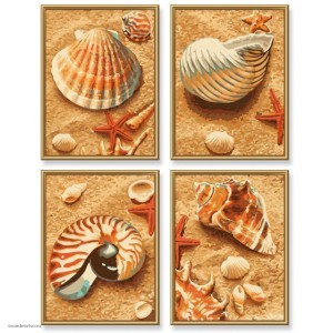 Раскраска по номерам Ракушки 4 картины 18х24 см. Раскраска по номерам Ракушки 4 картины 18х24 см.