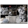 105749 Альбом для рисования котята А4 48 л. скоба обложка картон HATBER 48А4В