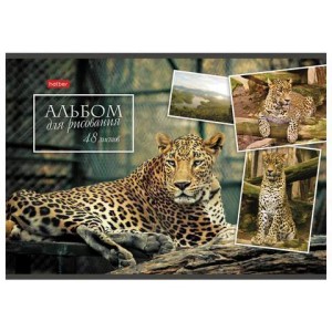 105749-1 Альбом для рисования леопард А4 48 л. скоба обложка картон HATBER 48А4В