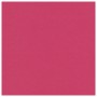 Картон цветной А4 немелованный матовый ВОЛШЕБНЫЙ 10 листов 10 цветов в папке ПИФАГОР 200х290 мм Котята 129914