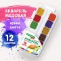 Краски акварельные BRAUBERG KIDS медовые 12 цветов квадратные кюветы пластиковый пенал 192282