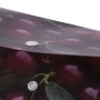 Папка-конверт с кнопкой BRAUBERG CHERRY А4 160 мкм до 100 листов цветная печать 228037