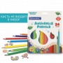 Карандаши цветные акварельные BRAUBERG PREMIUM AQUARELLE 24 цвета грифель мягкий 4 мм 181673