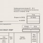 Бланк бухгалтерский типографский Расходно-кассовый ордер А5 134х192 мм СКЛЕЙКА 100 шт. 130005