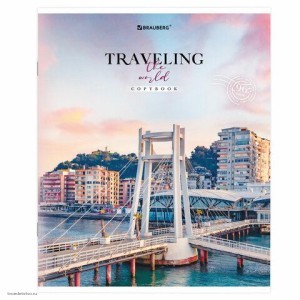 Тетрадь А5 96 л BRAUBERG линия