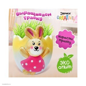 Набор для опытов Выращиваем травку Зайка ЭВРИКИ