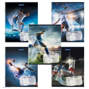 Тетрадь 12. клетка BRAUBERG Тетрадь 12. клетка BRAUBERG