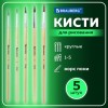 Кисти ПОНИ набор 5 шт. (круглые № 1, 2, 3,4, 5), блистер, BRAUBERG KIDS, 201072