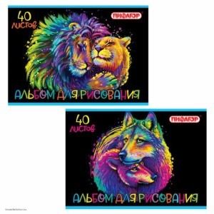 Альбом для рисования А4 40л ПИФАГОР