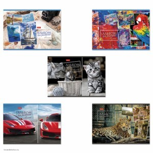 Альбом для рисования 48л HATBER