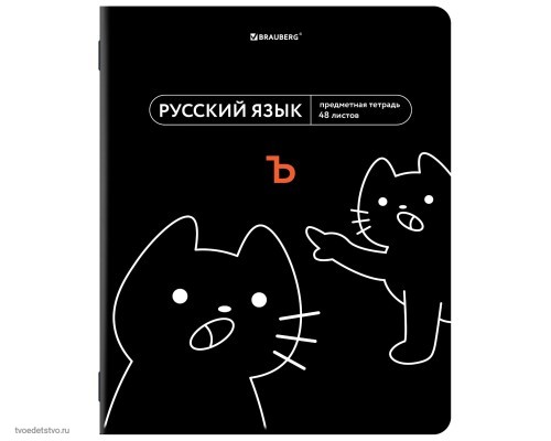 Тетрадь предметная МЕМЫ 48л РУССКИЙ ЯЗЫК BRAUBERG