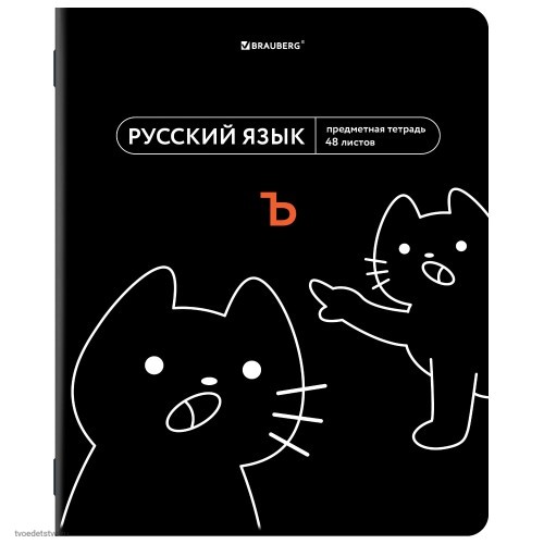 Тетрадь предметная МЕМЫ 48л РУССКИЙ ЯЗЫК BRAUBERG