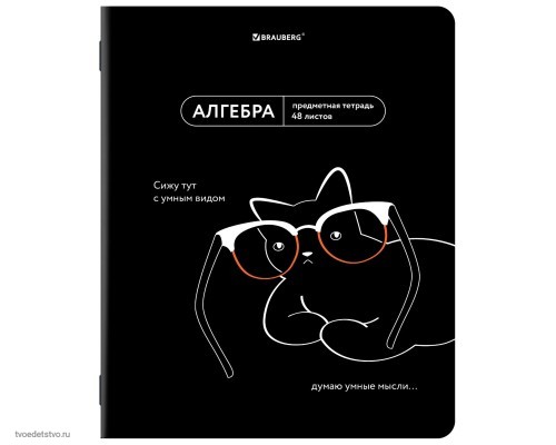 Тетрадь предметная МЕМЫ 48л АЛГЕБРА BRAUBERG