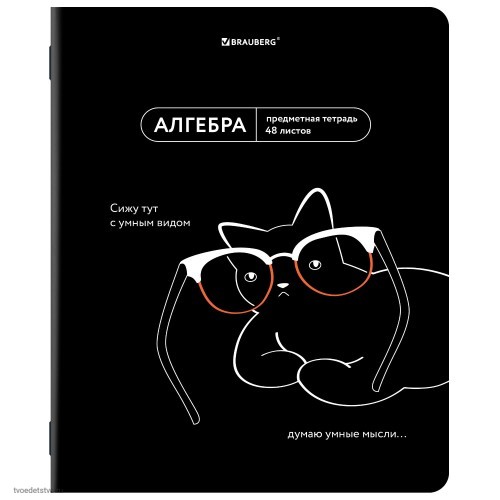 Тетрадь предметная МЕМЫ 48л АЛГЕБРА BRAUBERG