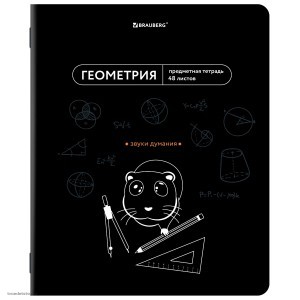 Тетрадь предметная МЕМЫ 48л ГЕОМЕТРИЯ BRAUBERG