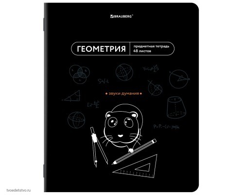 Тетрадь предметная МЕМЫ 48л ГЕОМЕТРИЯ BRAUBERG
