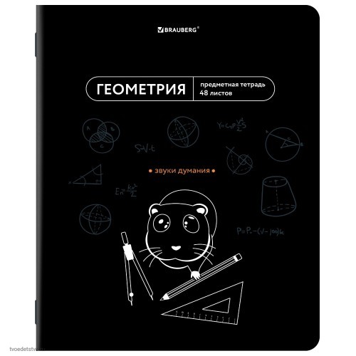 Тетрадь предметная МЕМЫ 48л ГЕОМЕТРИЯ BRAUBERG