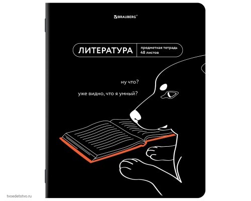 Тетрадь предметная МЕМЫ 48л ЛИТЕРАТУРА BRAUBERG