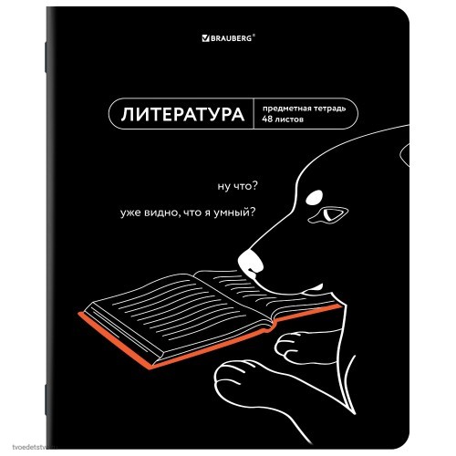 Тетрадь предметная МЕМЫ 48л ЛИТЕРАТУРА BRAUBERG