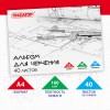Набор 2 шт Альбом для черчения А4 40 л., склейка, 160 г/м2, ПИФАГОР, 104808