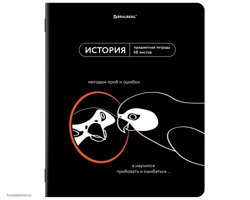 Тетрадь предметная МЕМЫ 48л ИСТОРИЯ BRAUBERG