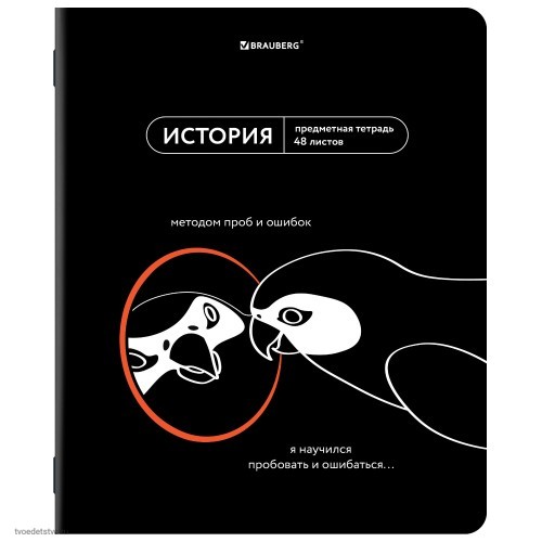 Тетрадь предметная МЕМЫ 48л ИСТОРИЯ BRAUBERG