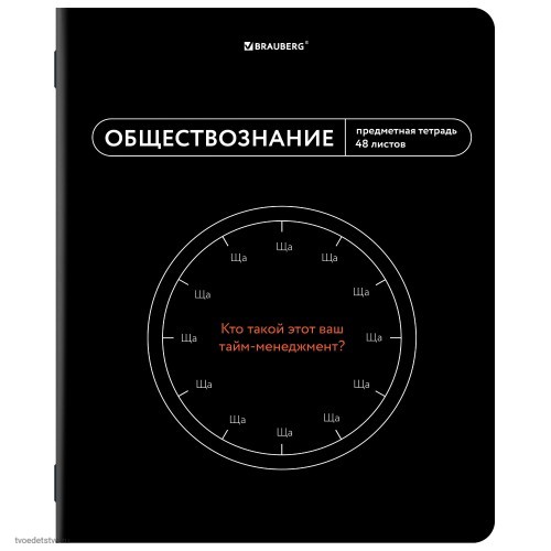 Тетрадь предметная МЕМЫ 48л ОБЩЕСТВОЗНАНИЕ BRAUBERG