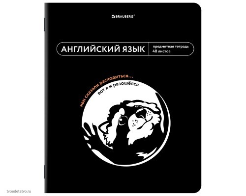 Тетрадь предметная МЕМЫ 48л АНГЛИЙСКИЙ ЯЗЫК BRAUBERG