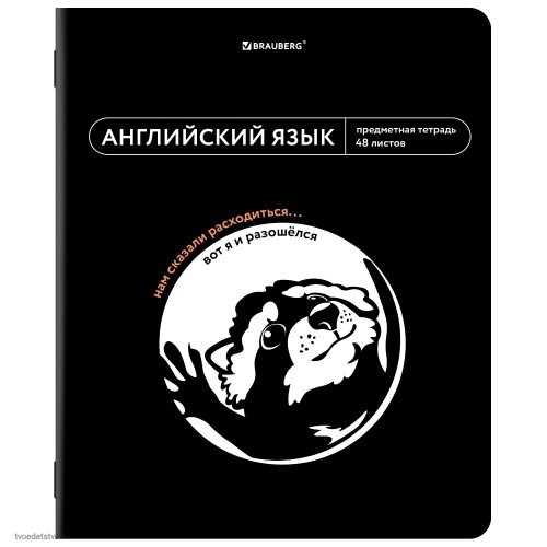 Тетрадь предметная МЕМЫ 48л АНГЛИЙСКИЙ ЯЗЫК BRAUBERG