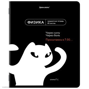 Тетрадь предметная 48л ФИЗИКА BRAUBERG МЕМЫ
