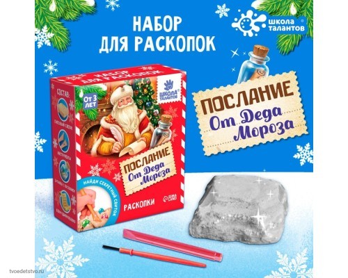 Набор для раскопок "Послание от Деда Мороза" бутылочка, камни   4243213