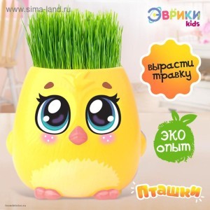 Набор для опытов Пташки выращиваем травку ЭВРИКИ Набор для опытов Пташки выращиваем травку ЭВРИКИ