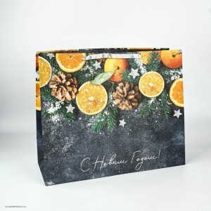 Пакет ламинированный горизонтальный Мандарины