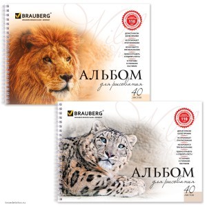 Альбом для рисования 40л BRAUBERG комплект 2шт