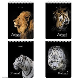 Блокнот А5 80л BRAUBERG Блокнот А5 80л BRAUBERG