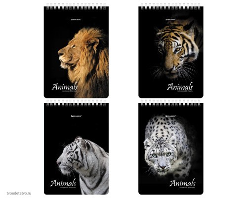 Блокнот А5 80л BRAUBERG Блокнот А5 80л BRAUBERG