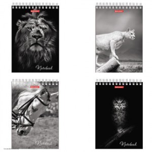 Блокнот А5 60л BRAUBERG Блокнот А5 60л BRAUBERG